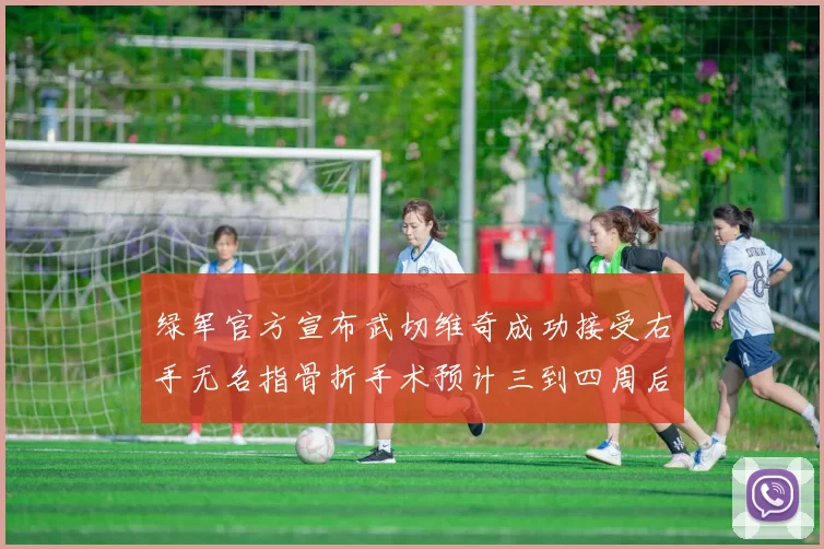 绿军官方宣布武切维奇成功接受右手无名指骨折手术预计三到四周后复查