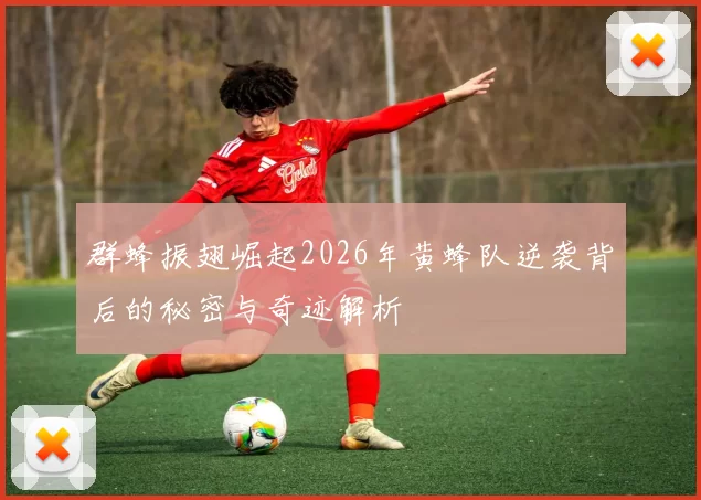 群蜂振翅崛起2026年黄蜂队逆袭背后的秘密与奇迹解析